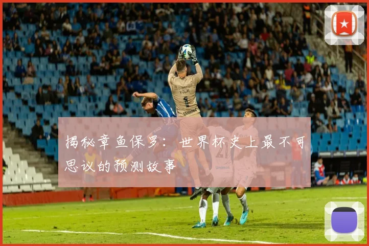 揭秘章鱼保罗：世界杯史上最不可思议的预测故事