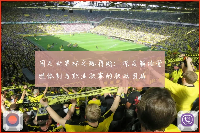 国足世界杯之路再断：深度解读管理体制与职业联赛的联动困局