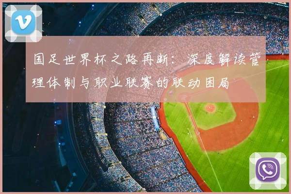 国足世界杯之路再断：深度解读管理体制与职业联赛的联动困局