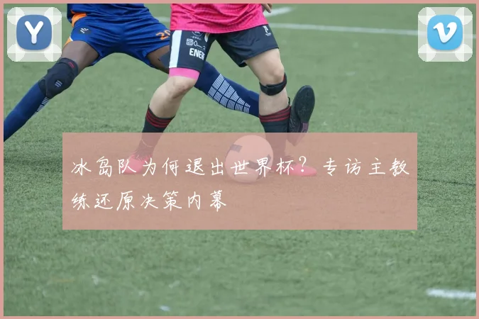 冰岛队为何退出世界杯？专访主教练还原决策内幕