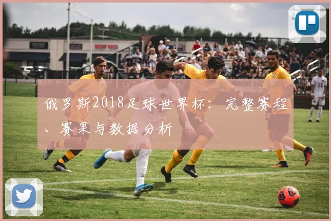 俄罗斯2018足球世界杯：完整赛程、赛果与数据分析