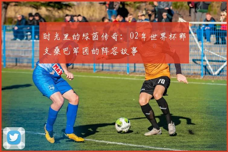 时光里的绿茵传奇：02年世界杯那支桑巴军团的阵容故事