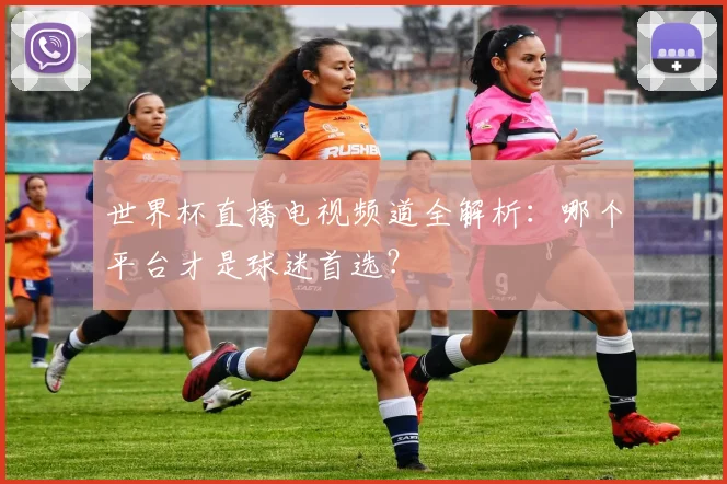 世界杯直播电视频道全解析:哪个平台才是球迷首选?