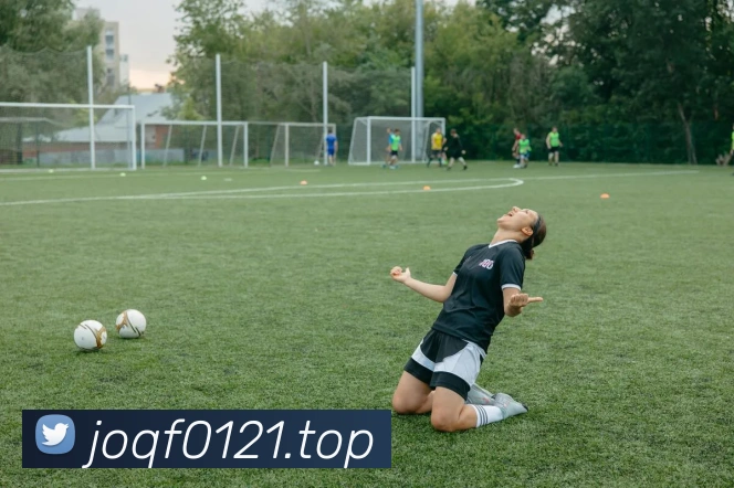 开云在线登录入口官网发展历程